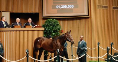 Pedro Lanz adquiere a BISHOPS BAY con el precio tope en la Keeneland November Horses of Racing Age Sale