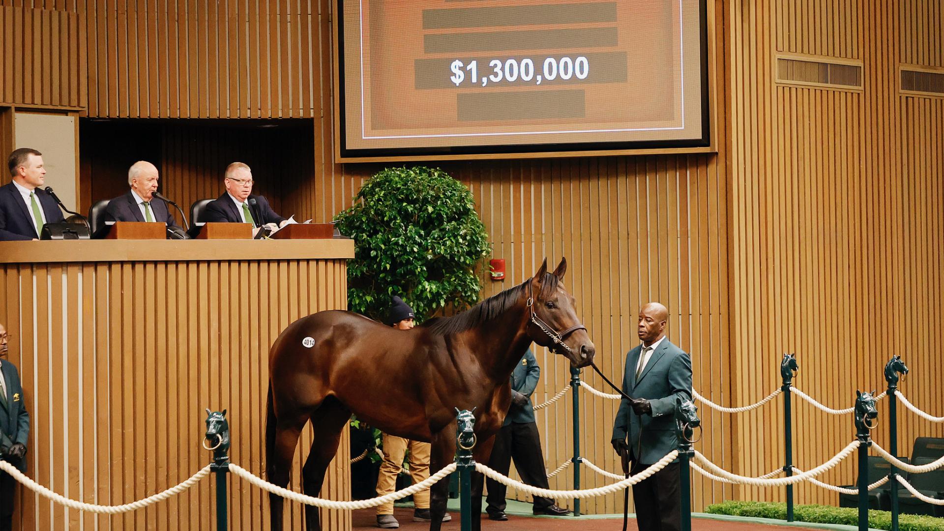 Pedro Lanz adquiere a BISHOPS BAY con el precio tope en la Keeneland November Horses of Racing Age Sale