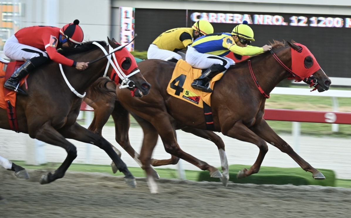 EL RELAMPAGO reaparece ganando de punta a punta el Clásico Nuestra Señora de la Chiquinquirá (Machos)