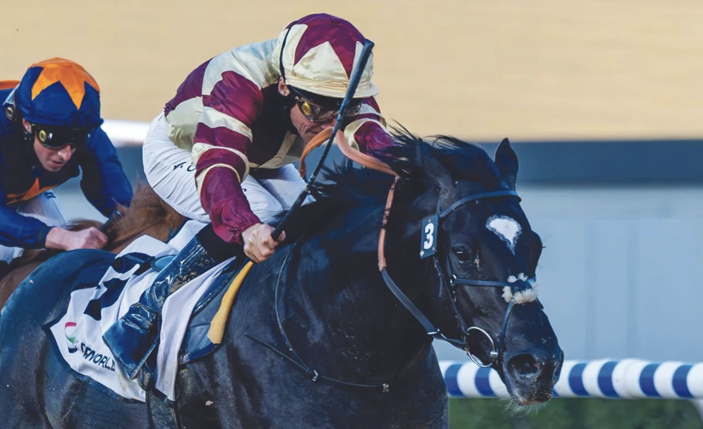 El trotamundo HEART OF HONOR destaca en la reunión del Carnaval en Meydan