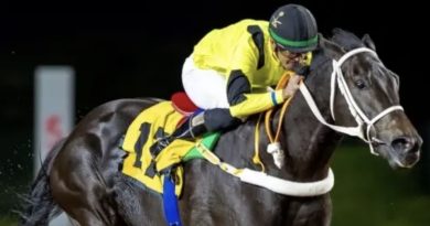 Se acabó la espera para WAIT TO EXCEL