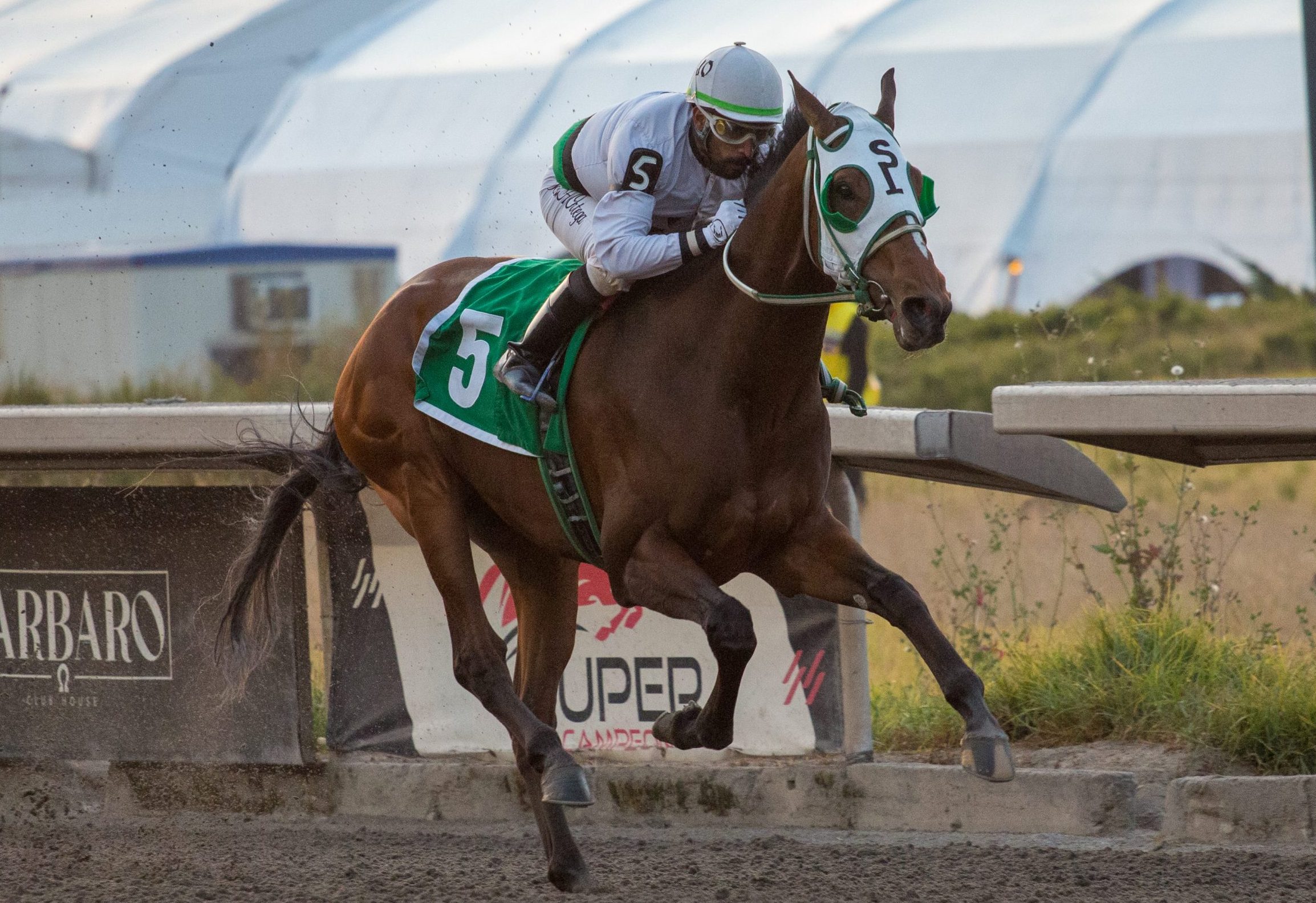 MALDINI y MIZUKI los mejores de su generación en Las Américas