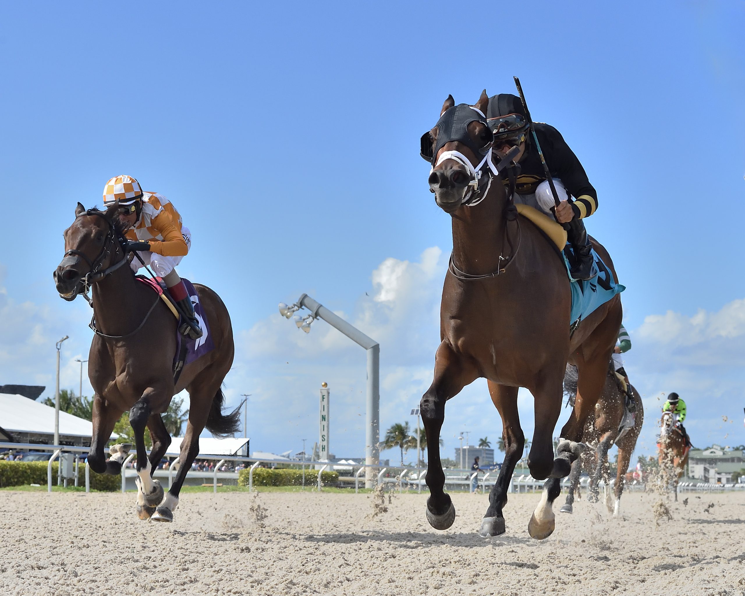 D’Angelo busca que TWIRLING QUEEN brille en el Islamorada