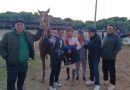 Doblete de Janacek en la apertura de la temporada en el Gran Hipódromo de Andalucía
