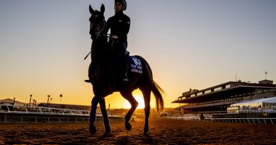 La Breeders´Cup anuncia el calendario de las Win And You´re In Challenge Series 2026 La Breeders´Cup anuncia el calendario de las Win And You´re In Challenge Series 2026