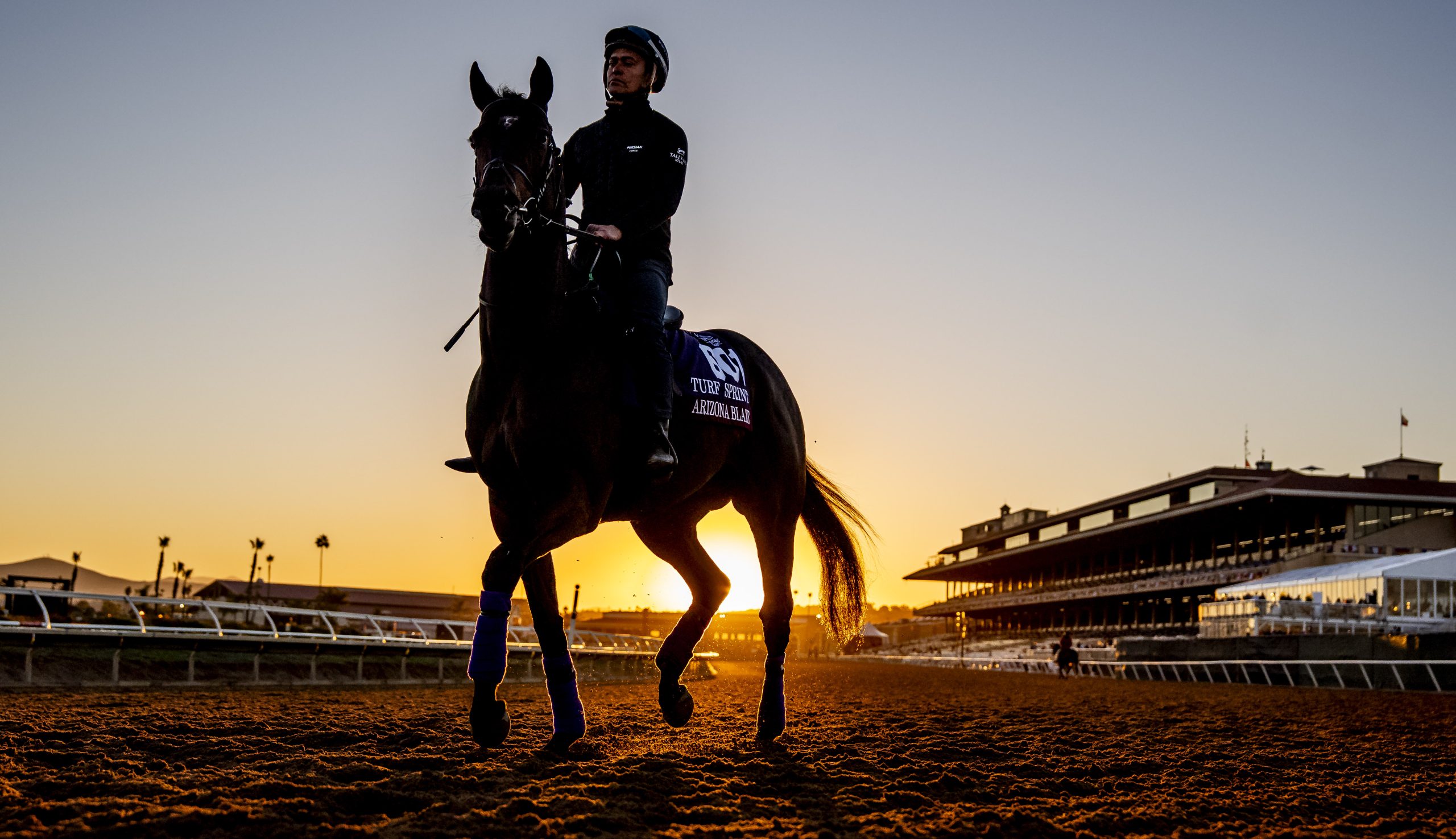 La Breeders´Cup anuncia el calendario de las Win And You´re In Challenge Series 2026
