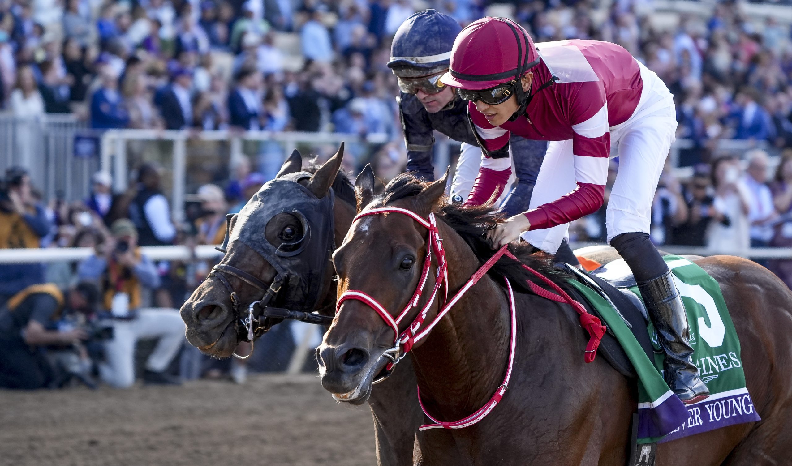 FOREVER YOUNG intratable en la Breeders’ Cup Classic