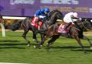 ETHICAL DIAMOND sorprende en la Breeder´s Cup Turf