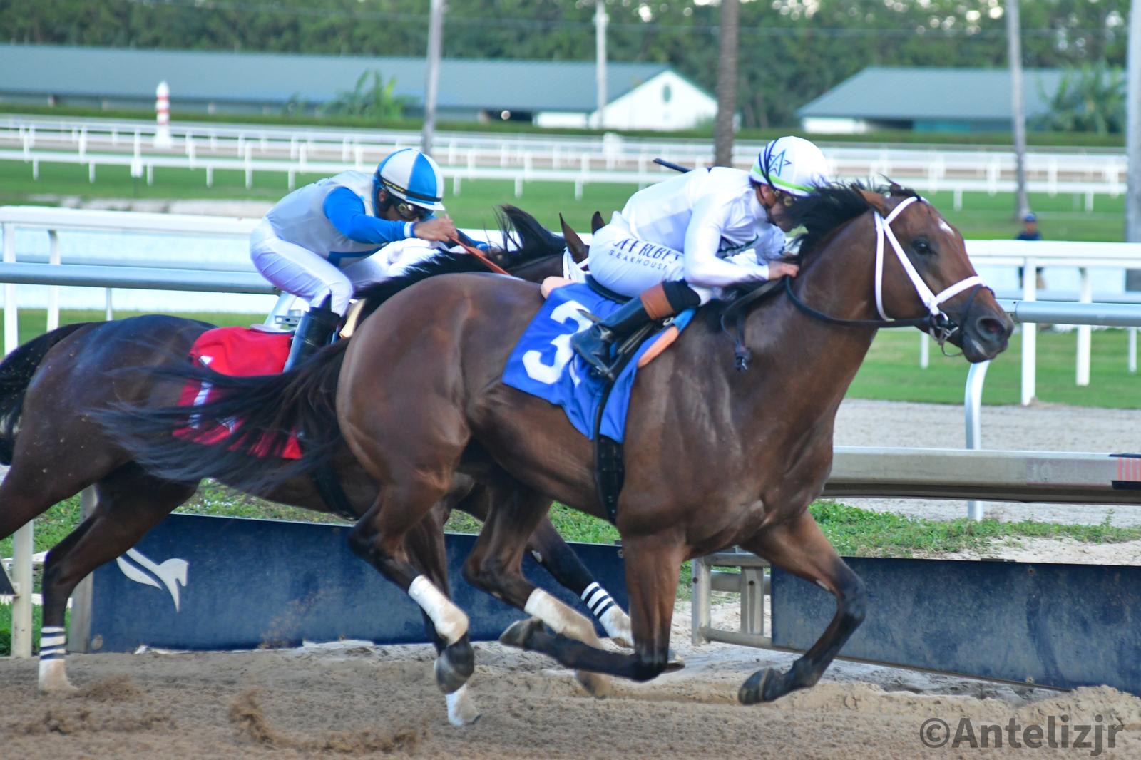 TAPPAN STREET reaparece con victoria