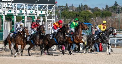 LA ZARZUELA DESPIDE LOS FAMILY DAYS EL 4 DE ENERO