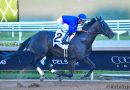 KNIGHTSBRIDGE se impone en el Mr. Prospector