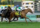 AMBAYA sorprende en el American Oaks