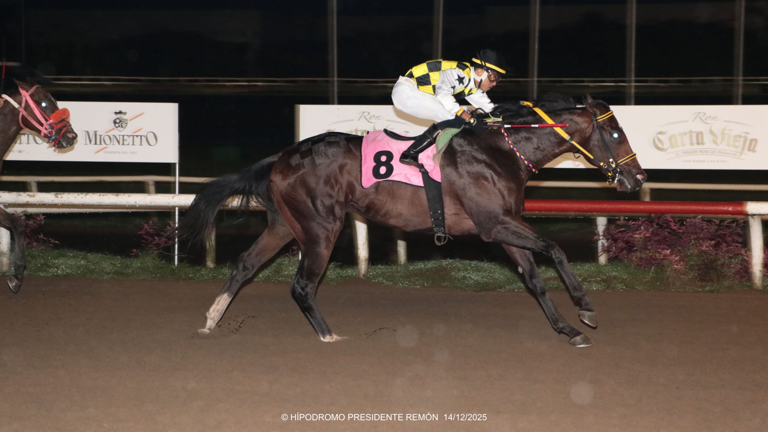 BOOZ BARUC logra la Triple Corona de Importados al imponerse en el Clásico Luis Shirley