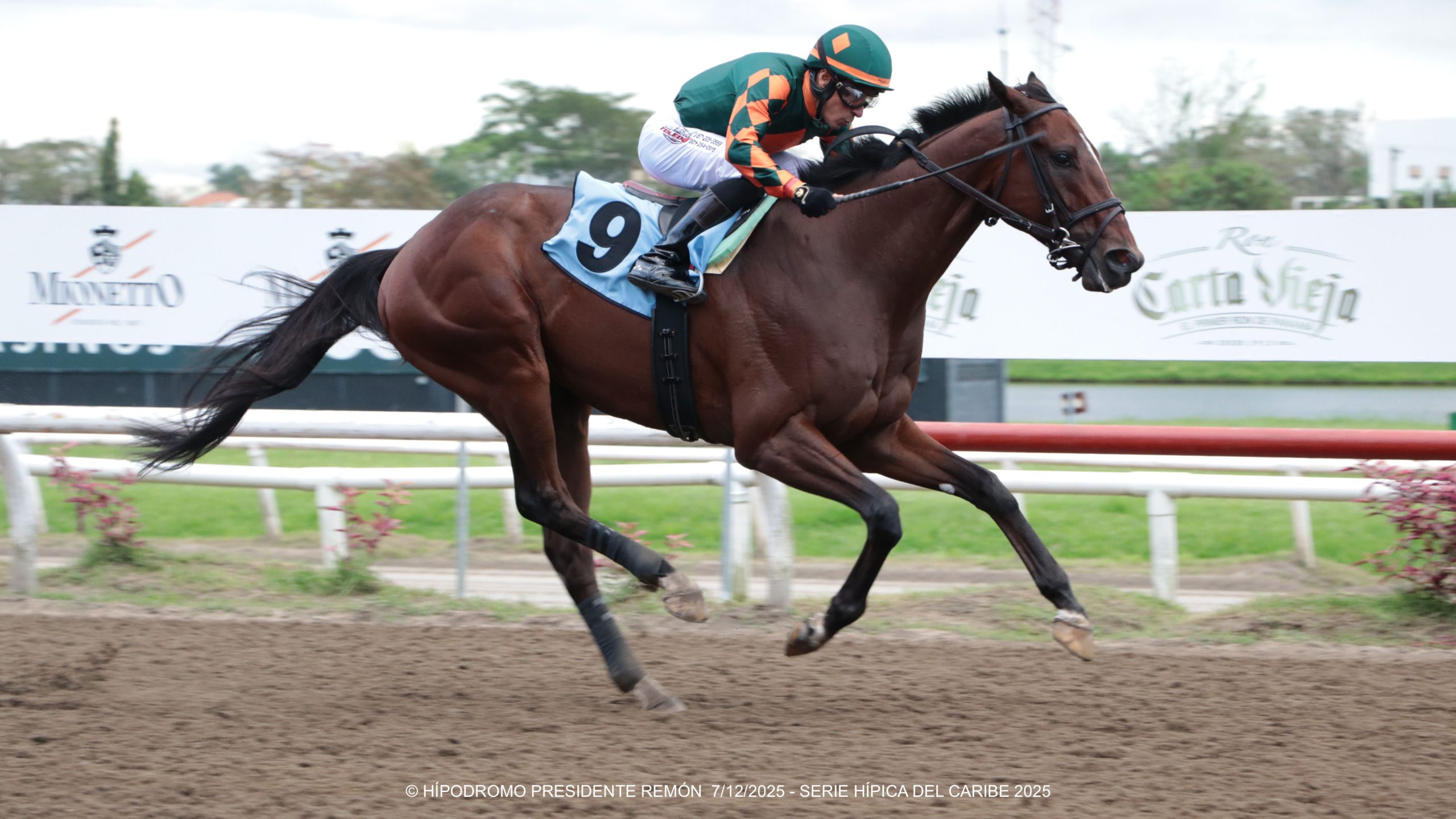 UPSTANDING de punta a punta en la Copa Invitacional del Caribe