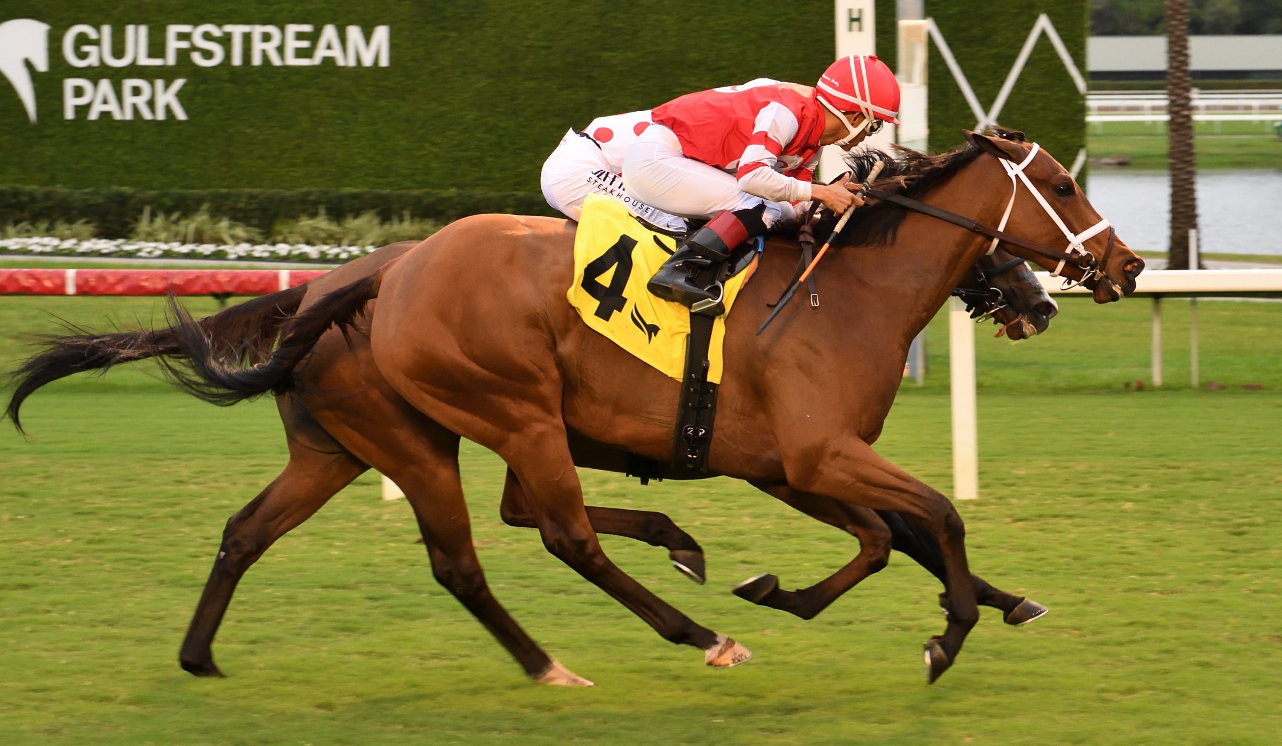 DESTINO D’ ORO gana las Tropical Park Oaks tras una reñida carrera