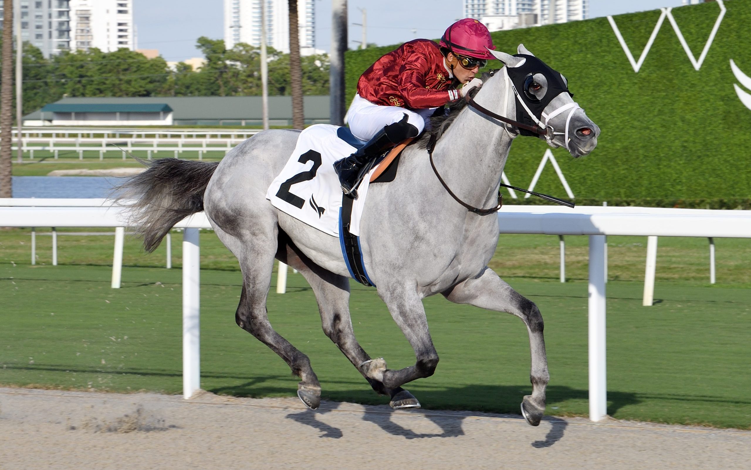 GABALDON vuelve al círculo de ganadores en la carrera estrella del jueves