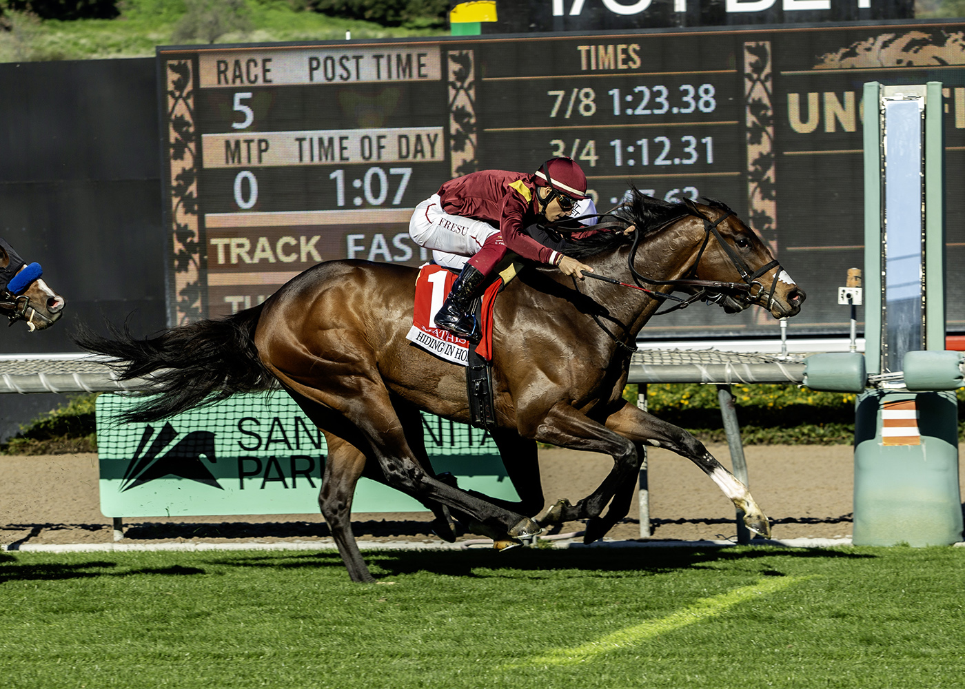 HIDING IN HONDURAS gana en final de foto la Mathis Mile
