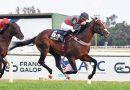 OBATAYE no falla en el Gran Premio Carlos Pellegrini y se anota para Keeneland OBATAYE no falla en el Gran Premio Carlos Pellegrini y se anota para Keeneland