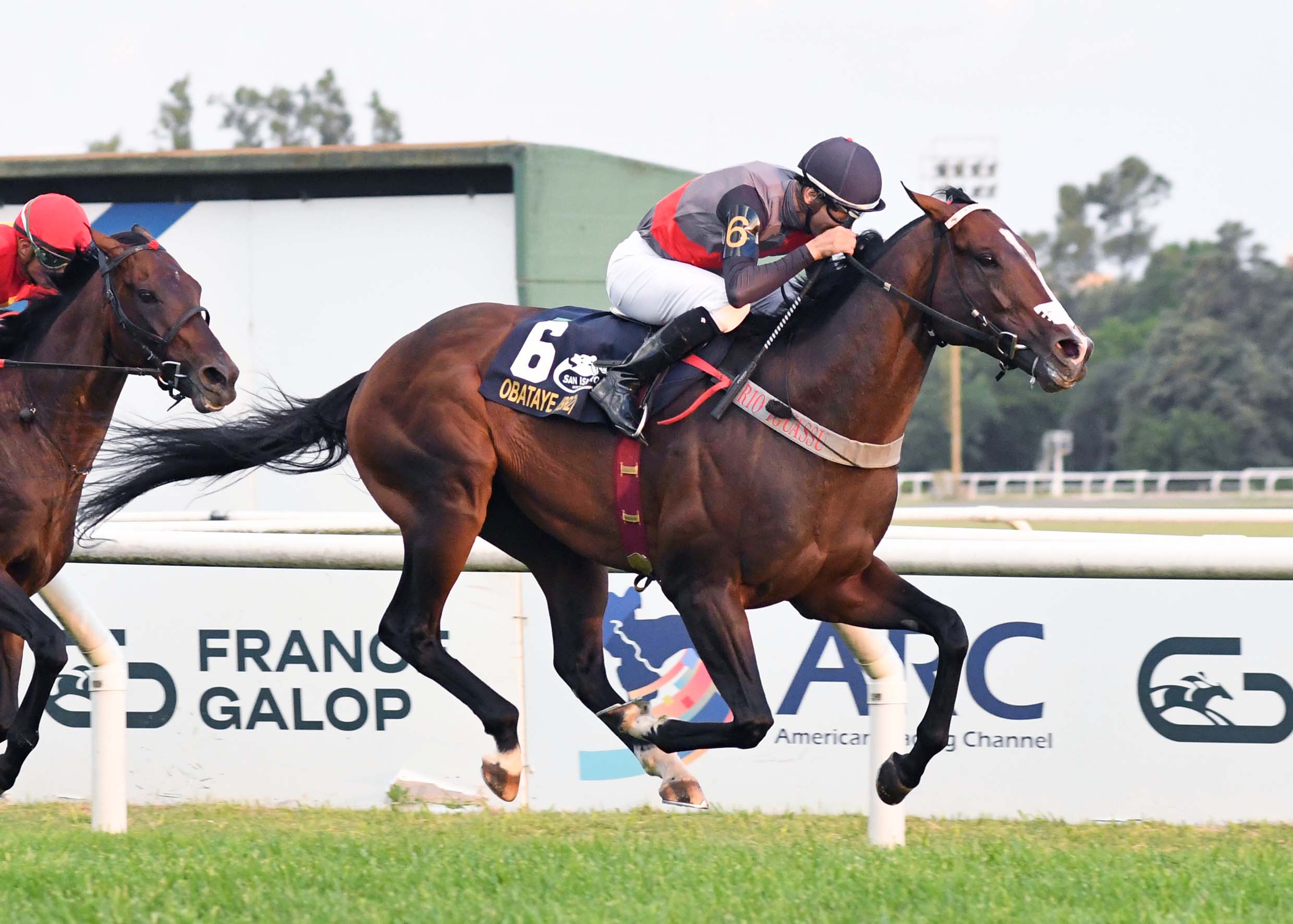OBATAYE no falla en el Gran Premio Carlos Pellegrini y se anota para Keeneland