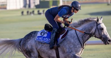 Las estrellas de Grupo I se enfrentan mientras Meydan da inicio a la fiesta