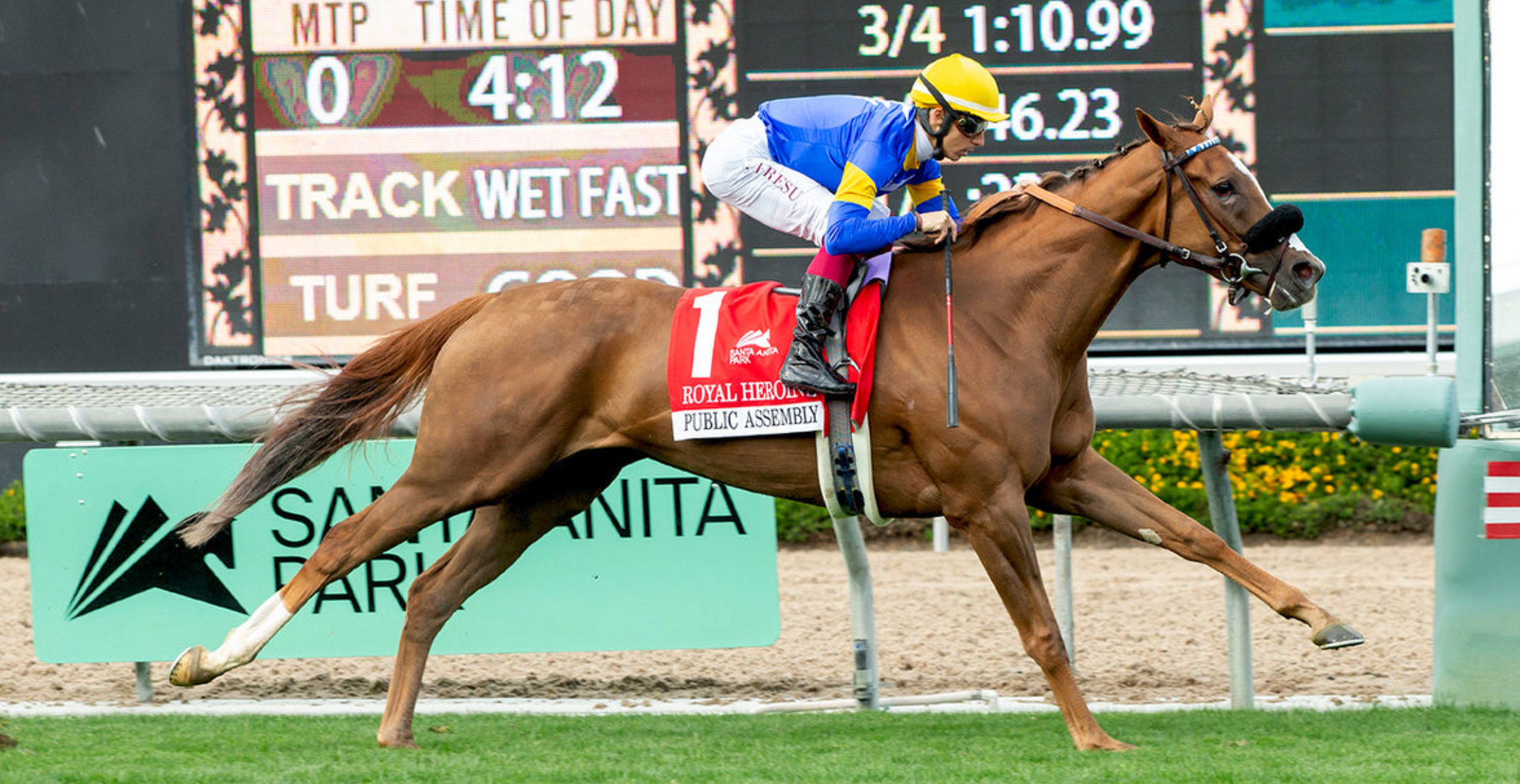 PUBLIC ASSEMBLY y PARADISE LAKE entre las 7 aspirantes al Robert J. Frankel Stakes