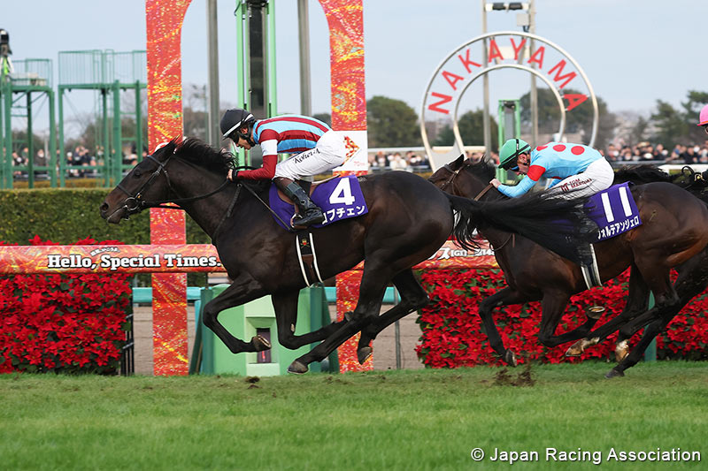 LOVCEN se impone en el Hopeful Stakes de Nakayama
