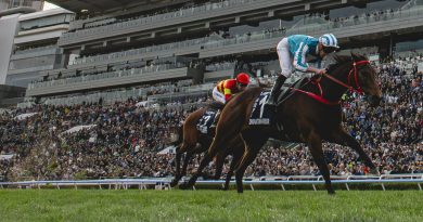 ROMANTIC WARRIOR IV de Hong Kong