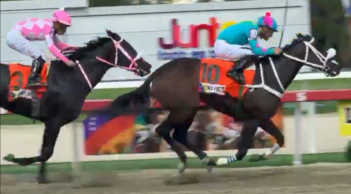 LATINA PARTS rompe el celofán en el Clásico Senegal