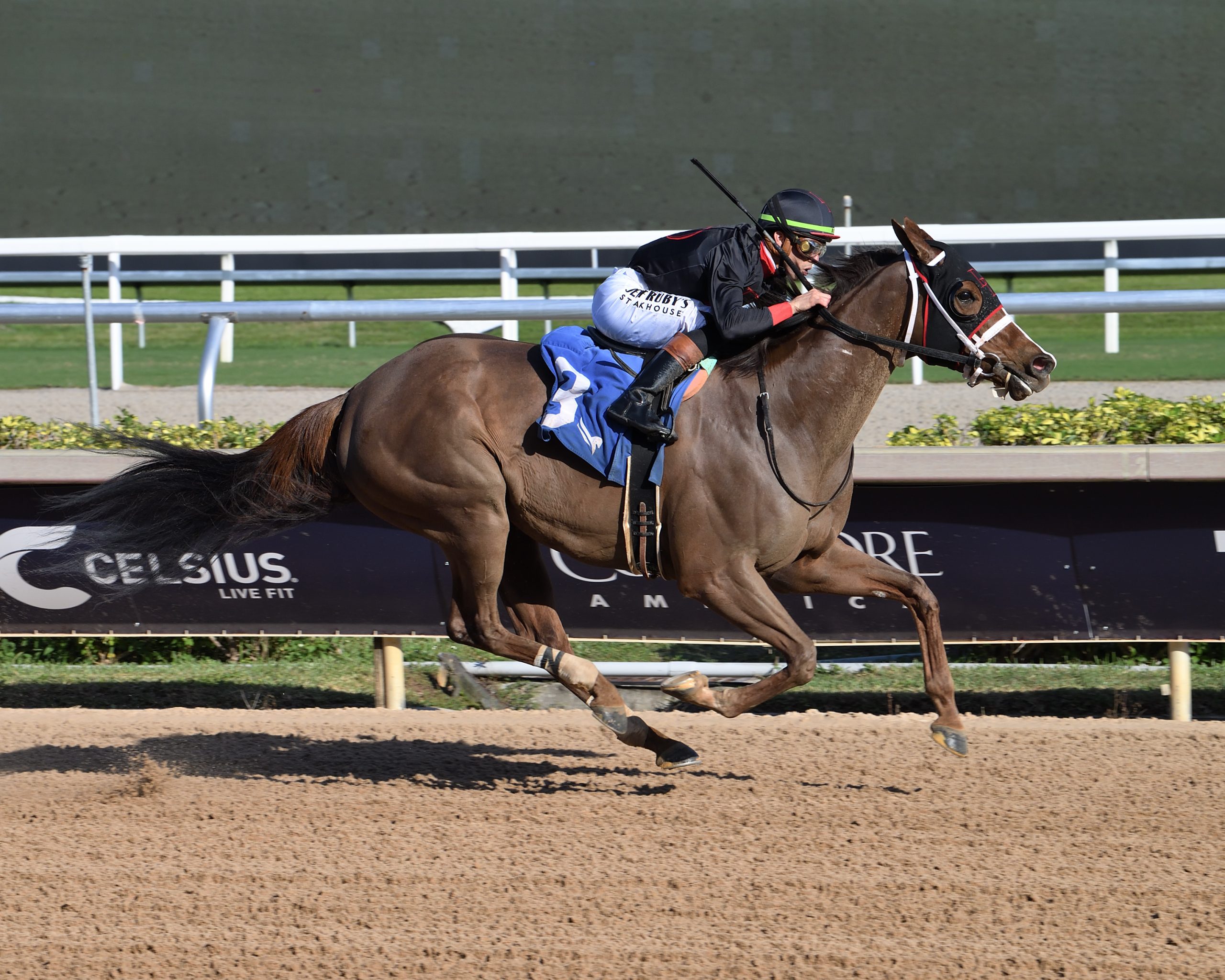 MS. BUCCHERO remata por la baranda para ganar el Sugar Swirl