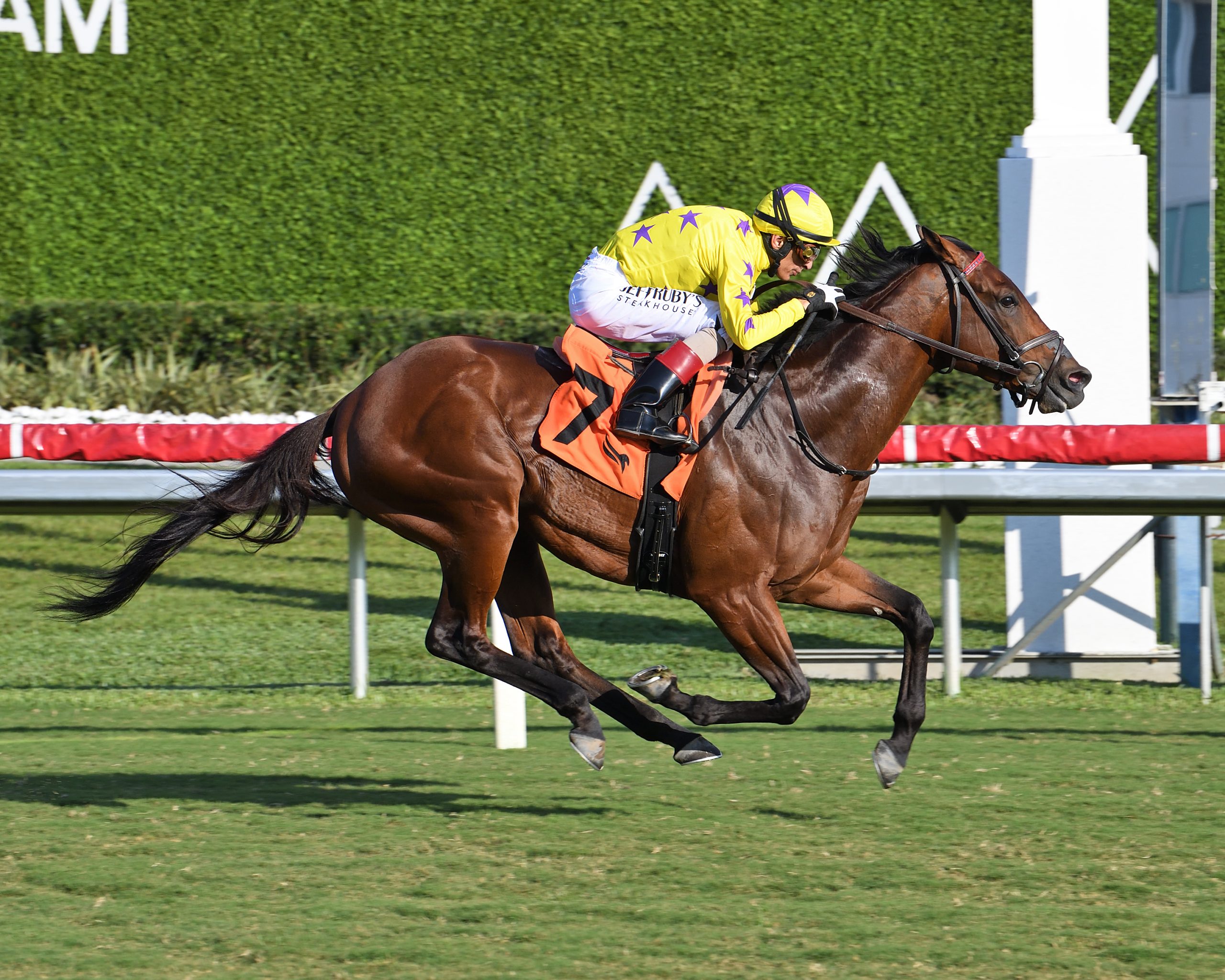 Siete millonarios encabezan las invitaciones al Pegasus Turf