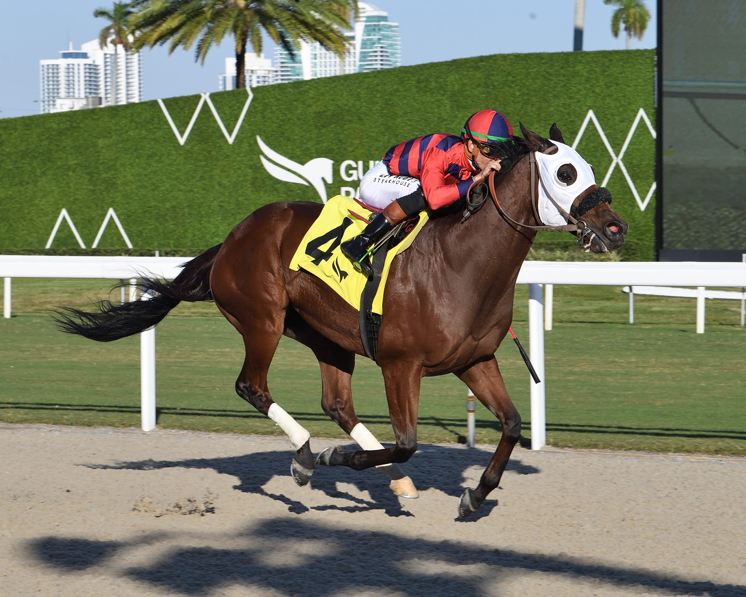 PRIVATE THOUGHTS muy cómodo en el St. Augustine