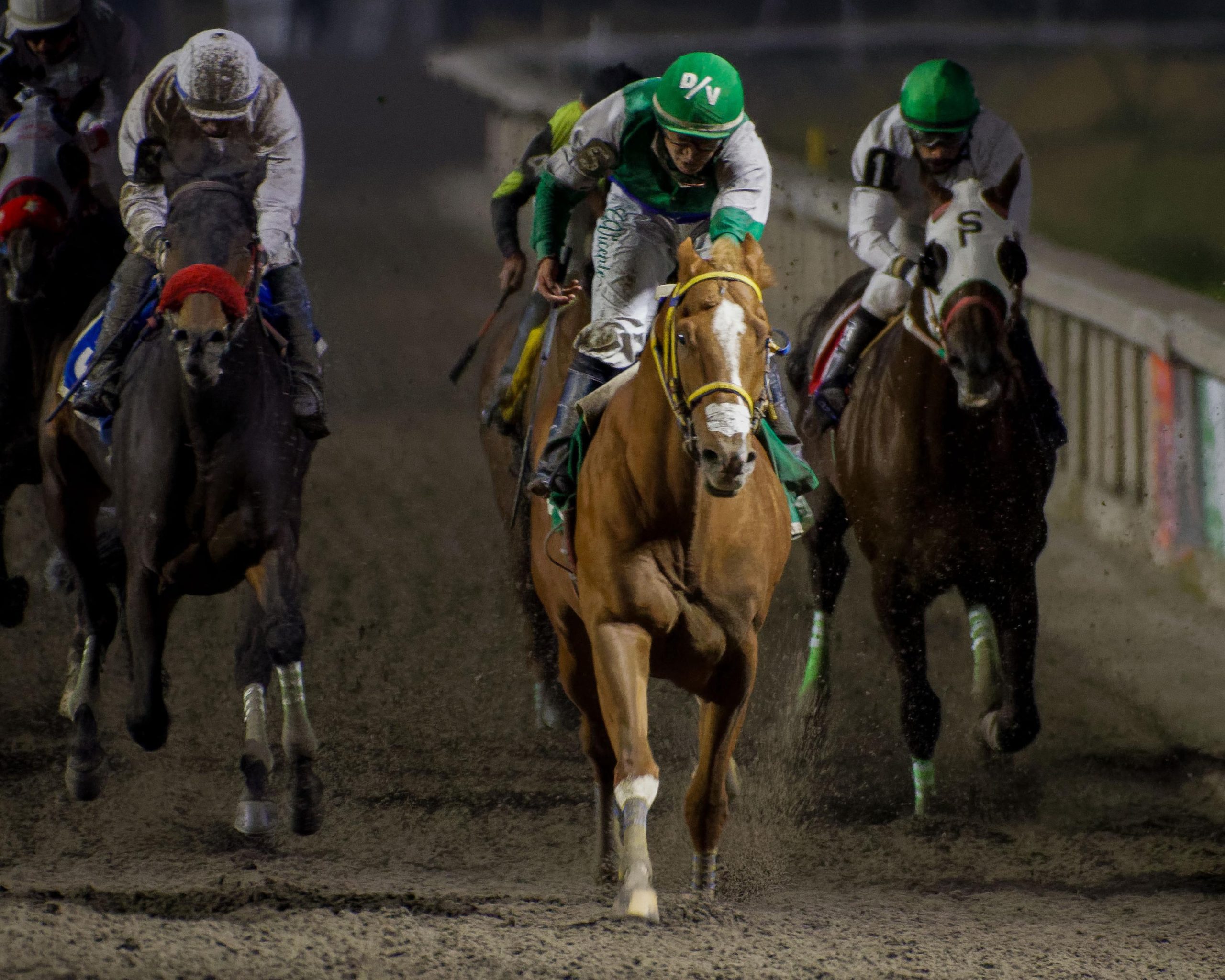 Concluyó la temporada 2025 para la raza pura sangre en México