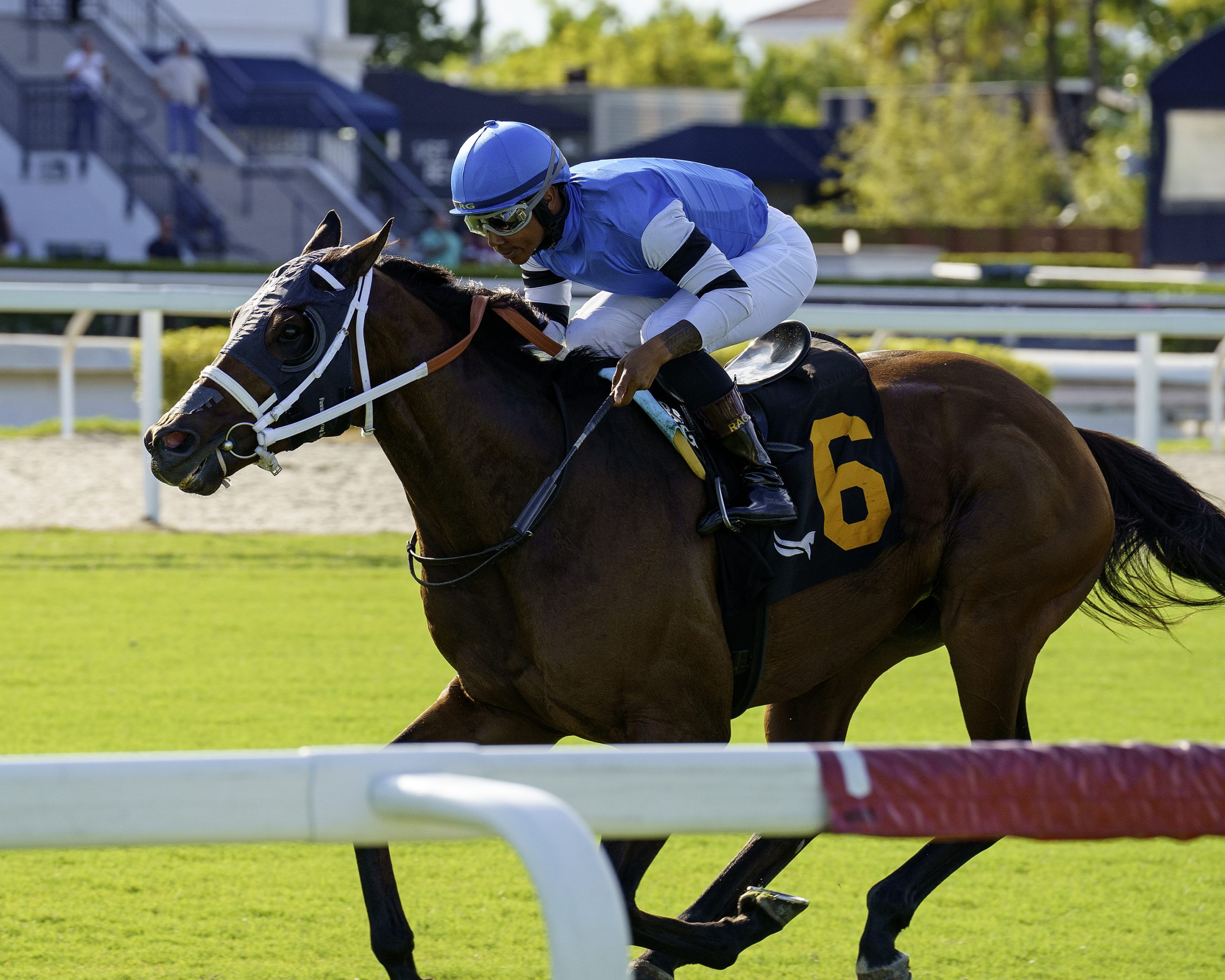 REEF RUNNER vuelve a su pista para disputar el Janus