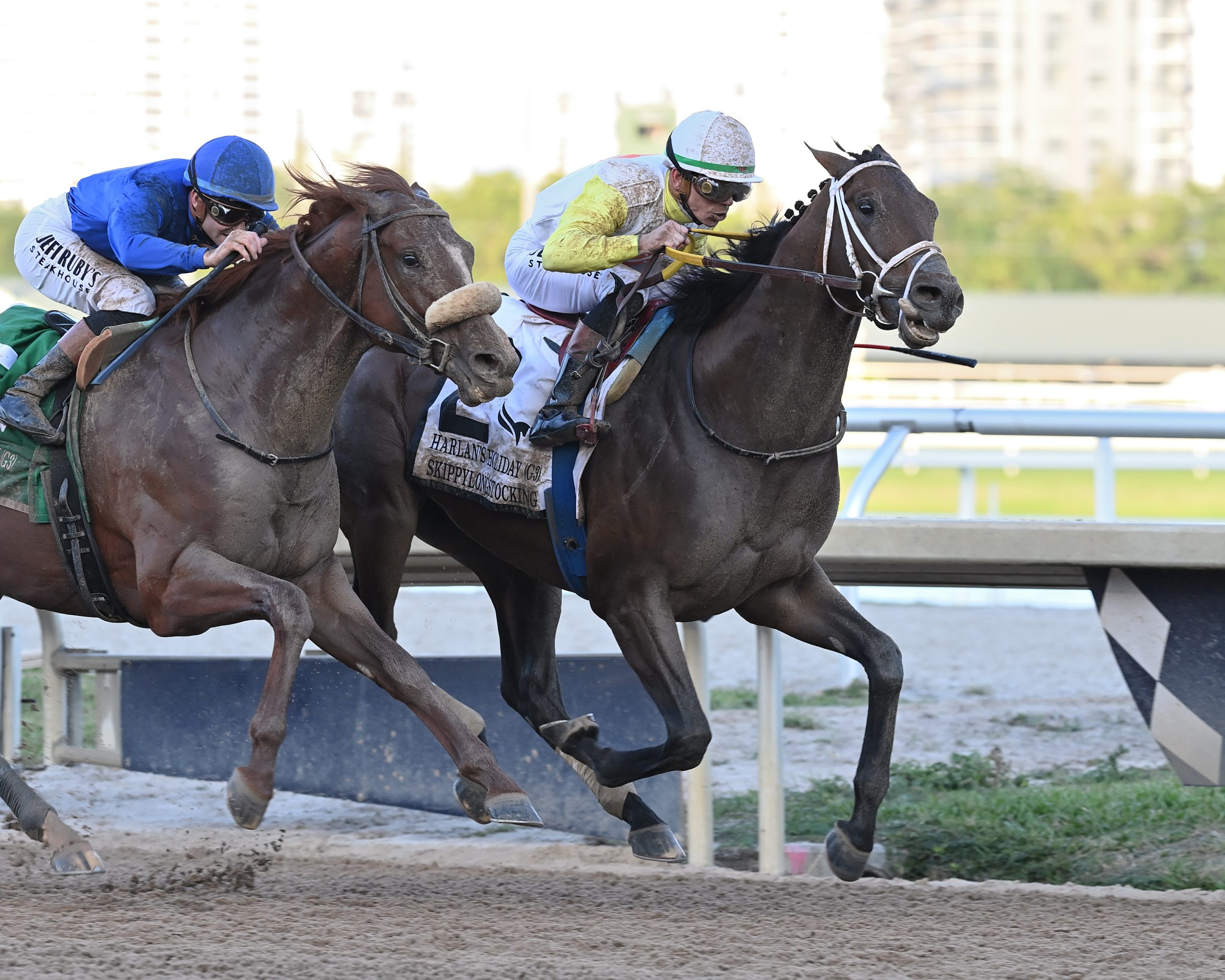 SKIPPYLONGSTOCKING vuelve a estar en forma en el Harlan’s Holiday