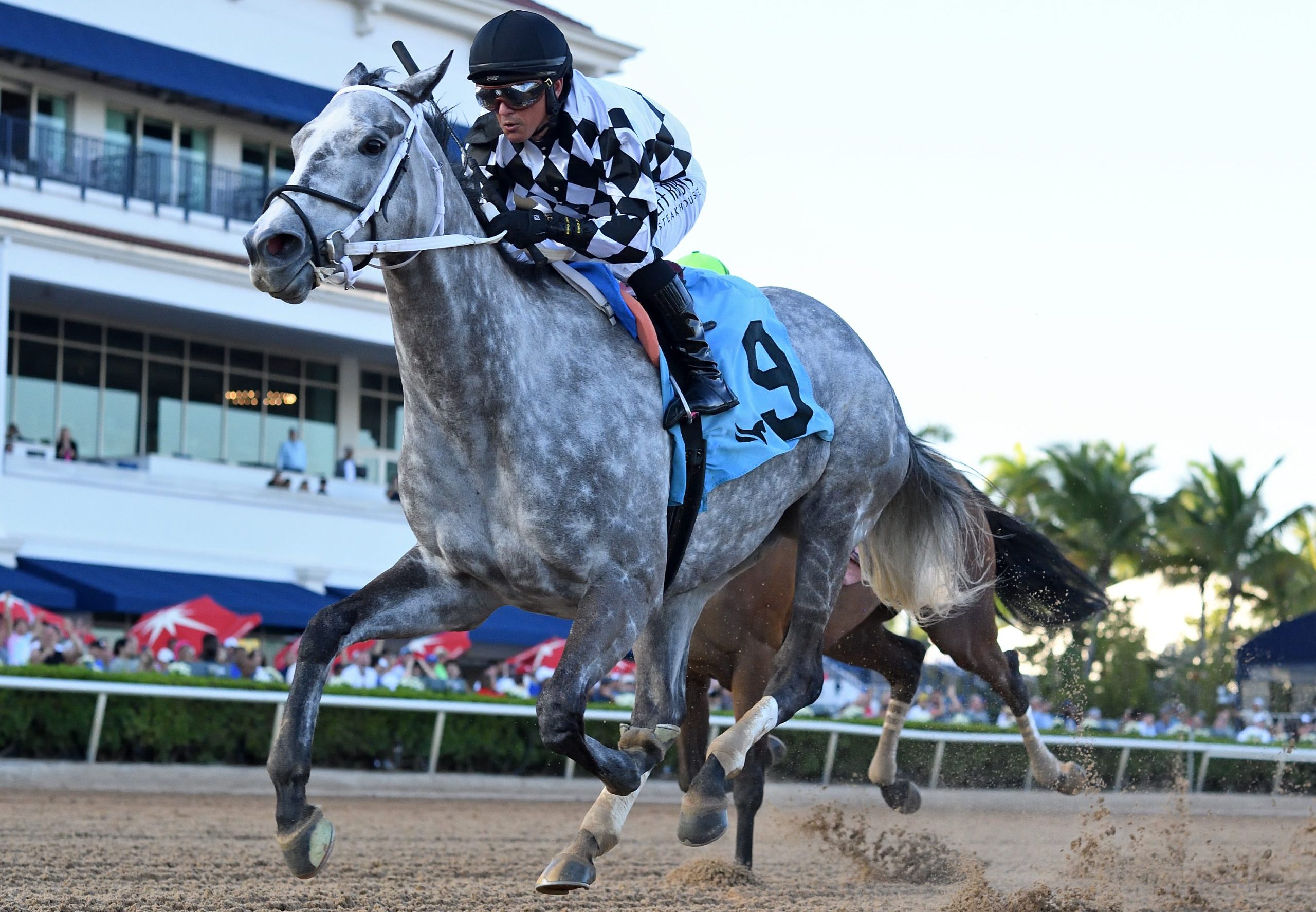 STERLING SILVER brilla con victoria en el Rampart