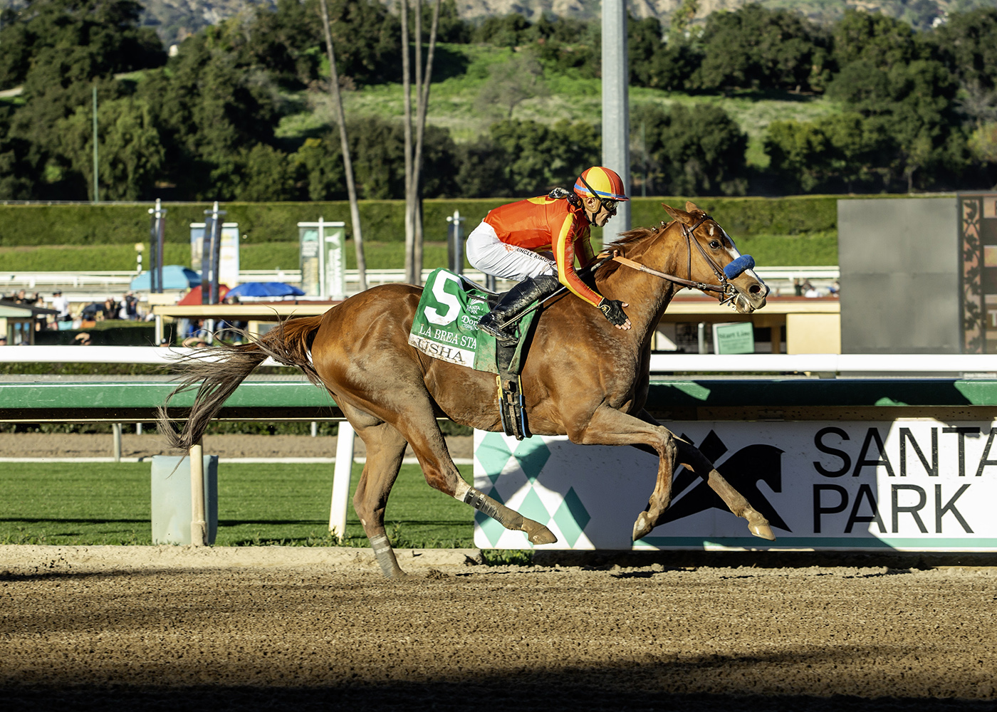 USHA intratable en La Brea Stakes