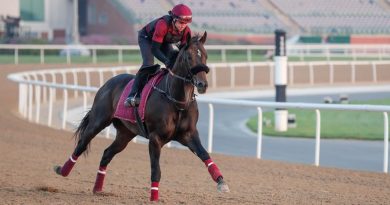 MUFASA y DARK SAFFRON se enfrentan en una carrera muy competitiva del carnaval de Dubai