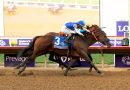 NYSOS y NEVADA BEACH, ganadores de Grado 1, se enfrentan en el Laffit Pincay Stakes