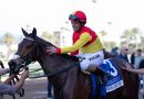 La peruana PRINCESA MOCHE a por el Buena Vista Stakes frente a duras rivales