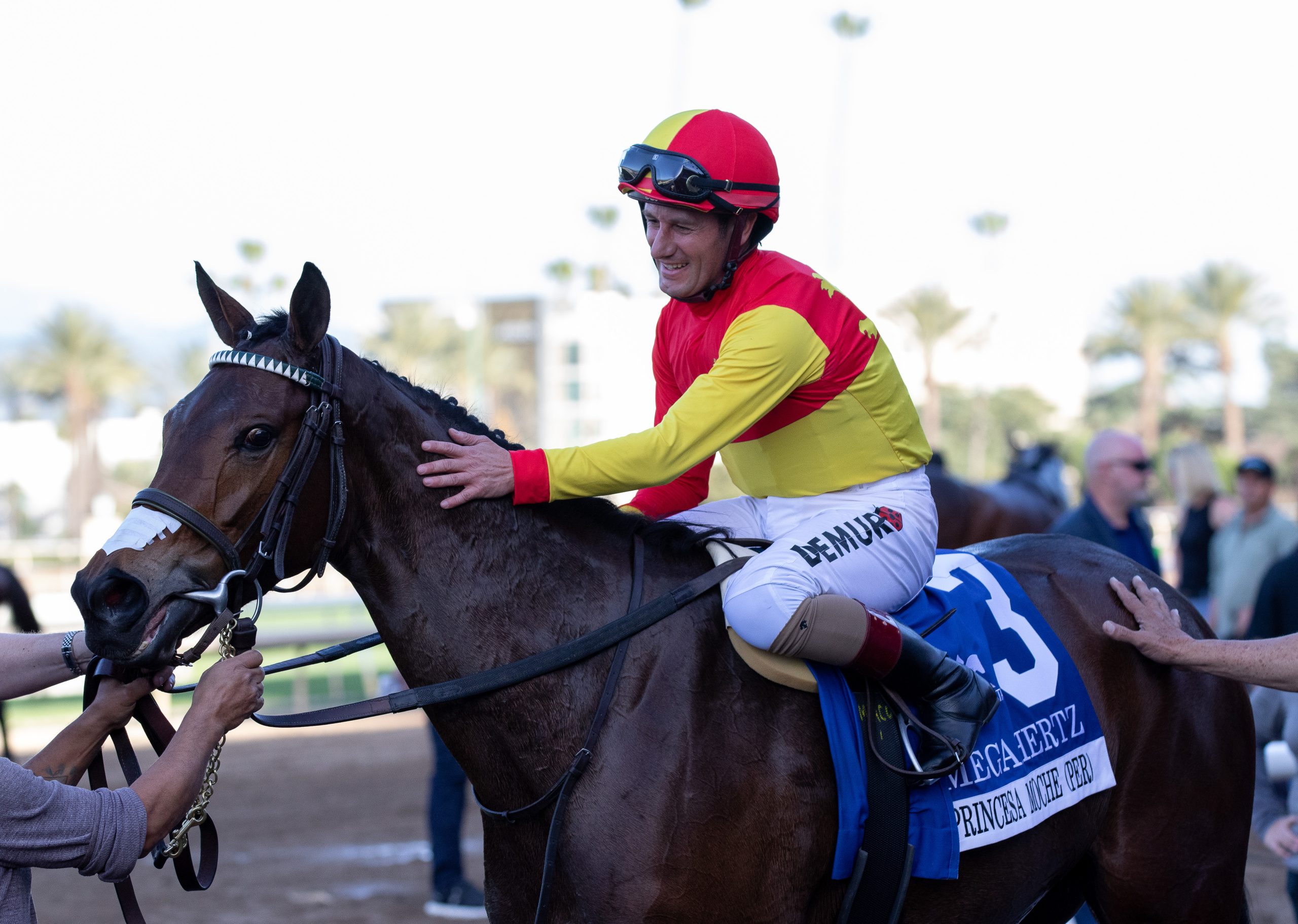 La peruana PRINCESA MOCHE a por el Buena Vista Stakes frente a duras rivales