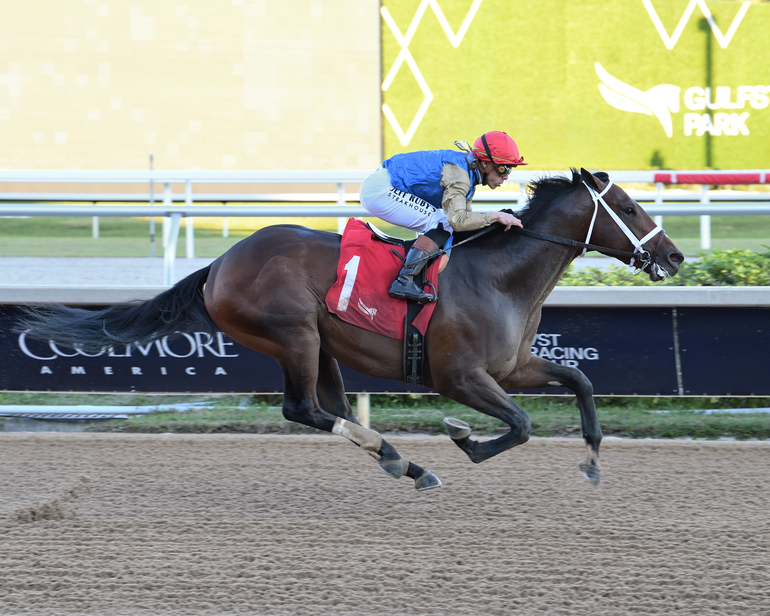 COMMANDMENT se impone en el Mucho Macho Man