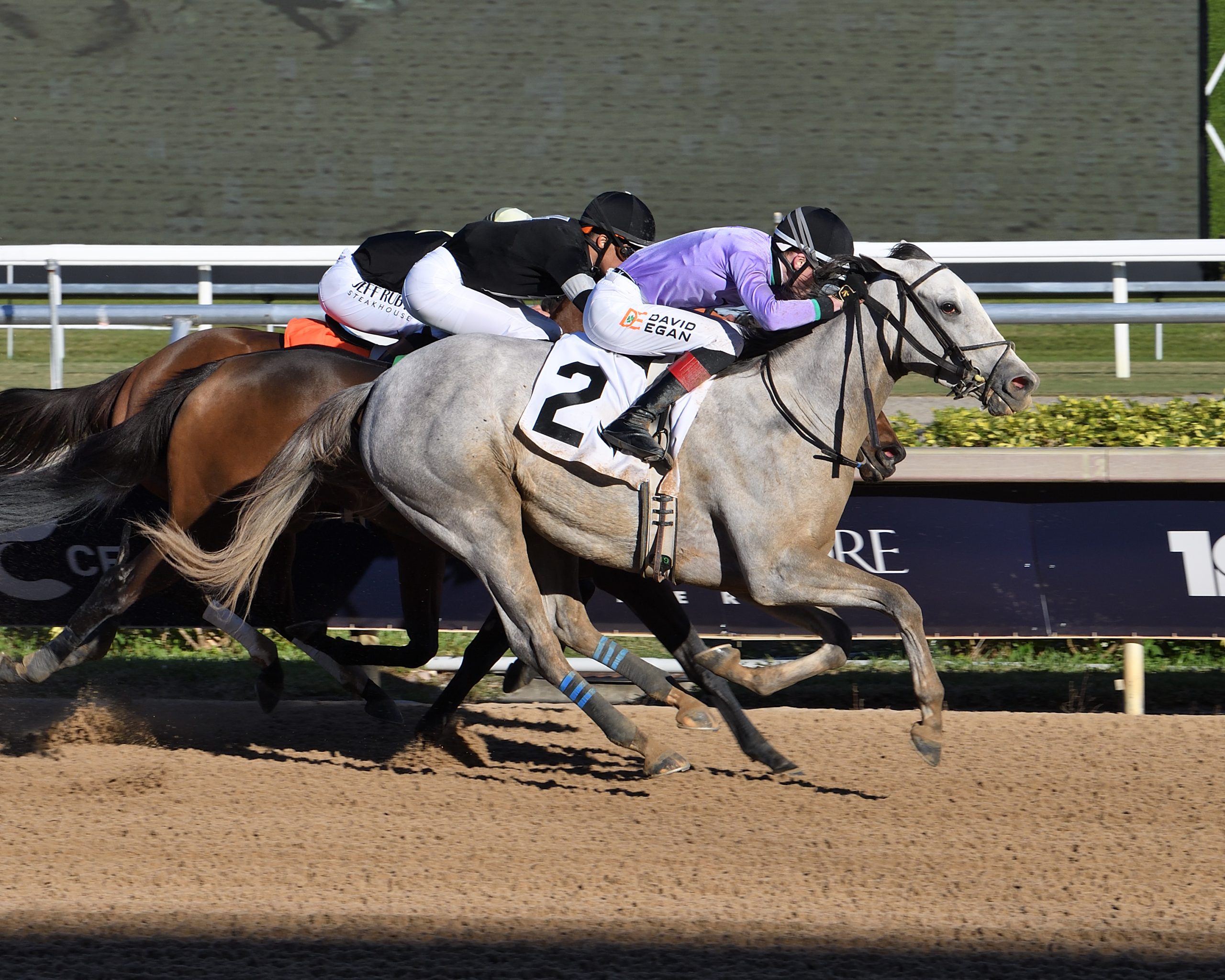 HAUTE DIVA da la sorpresa en el Cash Run