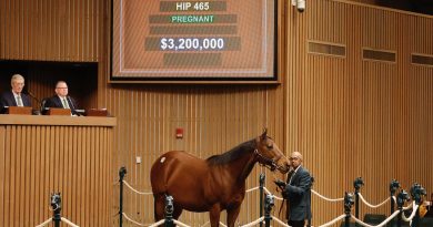 TIFFANY CASE con $3,2 millones, encabeza la primera jornada de ventas en Keeneland