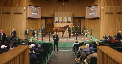 Las ventas superan los $53 millones en la subasta de enero en Keeneland
