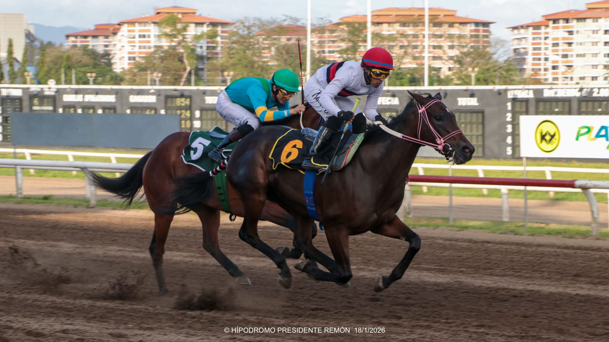 COMO TU gana el Premio Asociación de Jinetes Aprendices y Profesionales