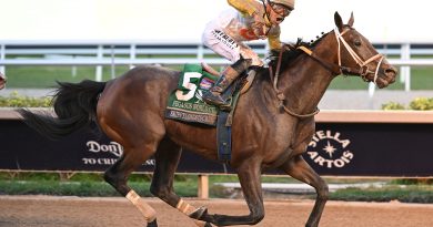 SKIPPYLONGSTOCKING gana la Pegasus en su cuarto intento