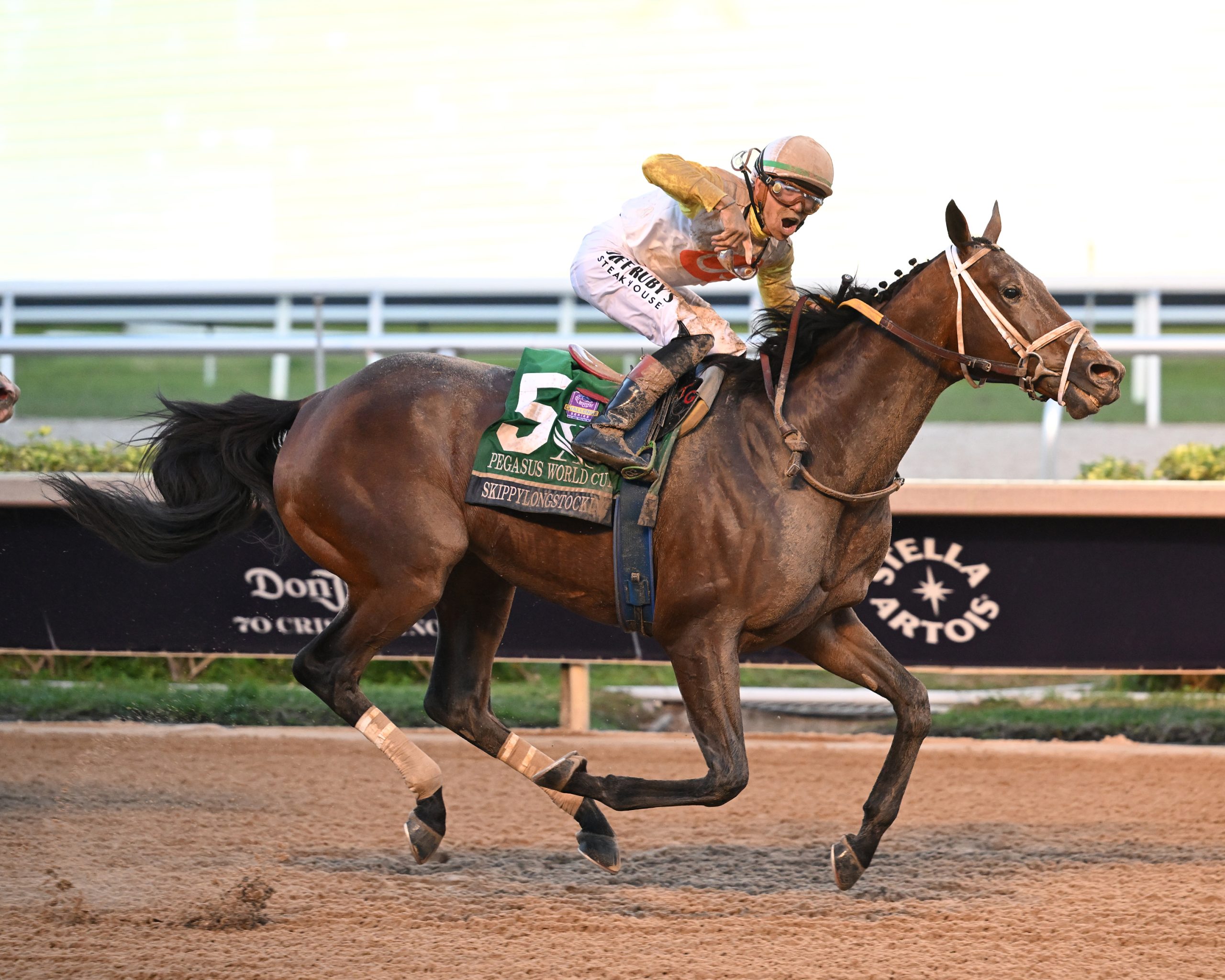 SKIPPYLONGSTOCKING gana la Pegasus en su cuarto intento