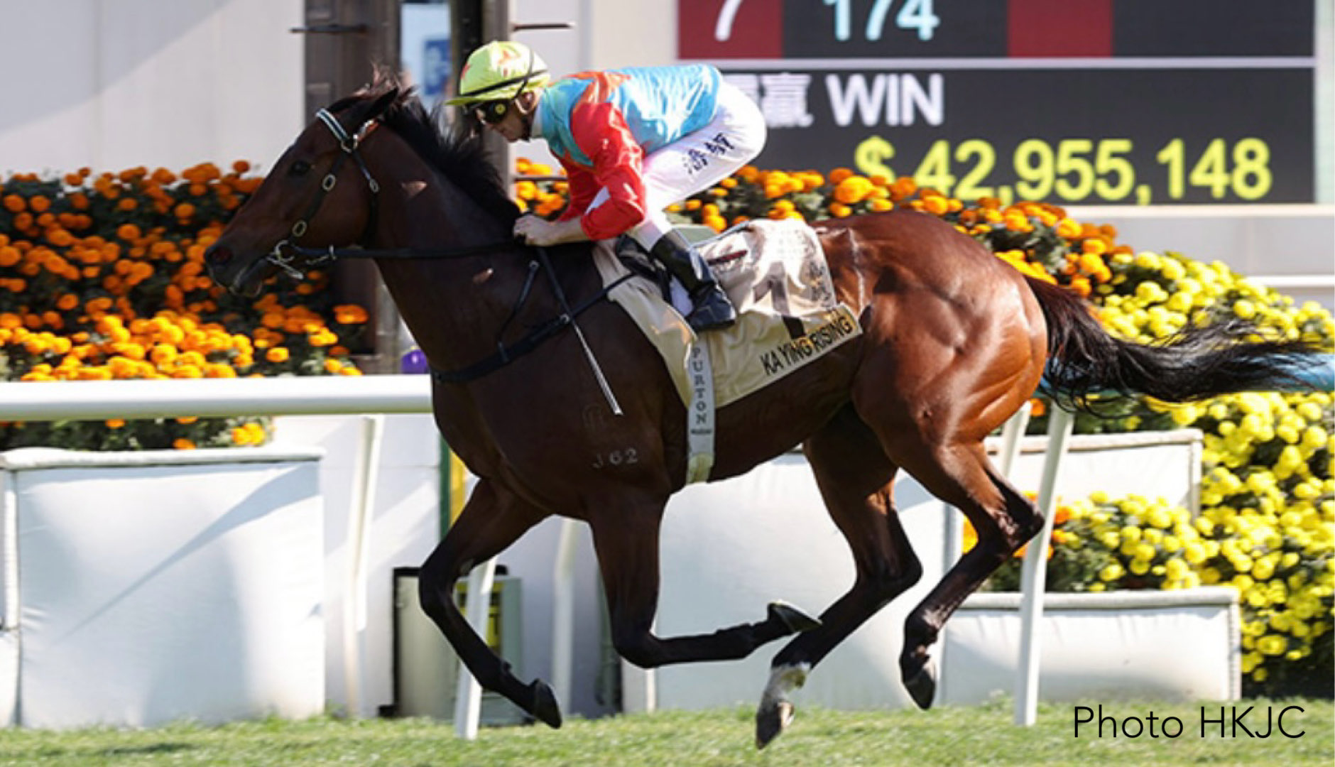 KA YING RISING suma y sigue en la Centenary Sprint Cup