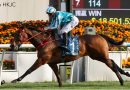 ROMANTIC WARRIOR confirmó su grandeza al imponerse en la Stewards’ Cup