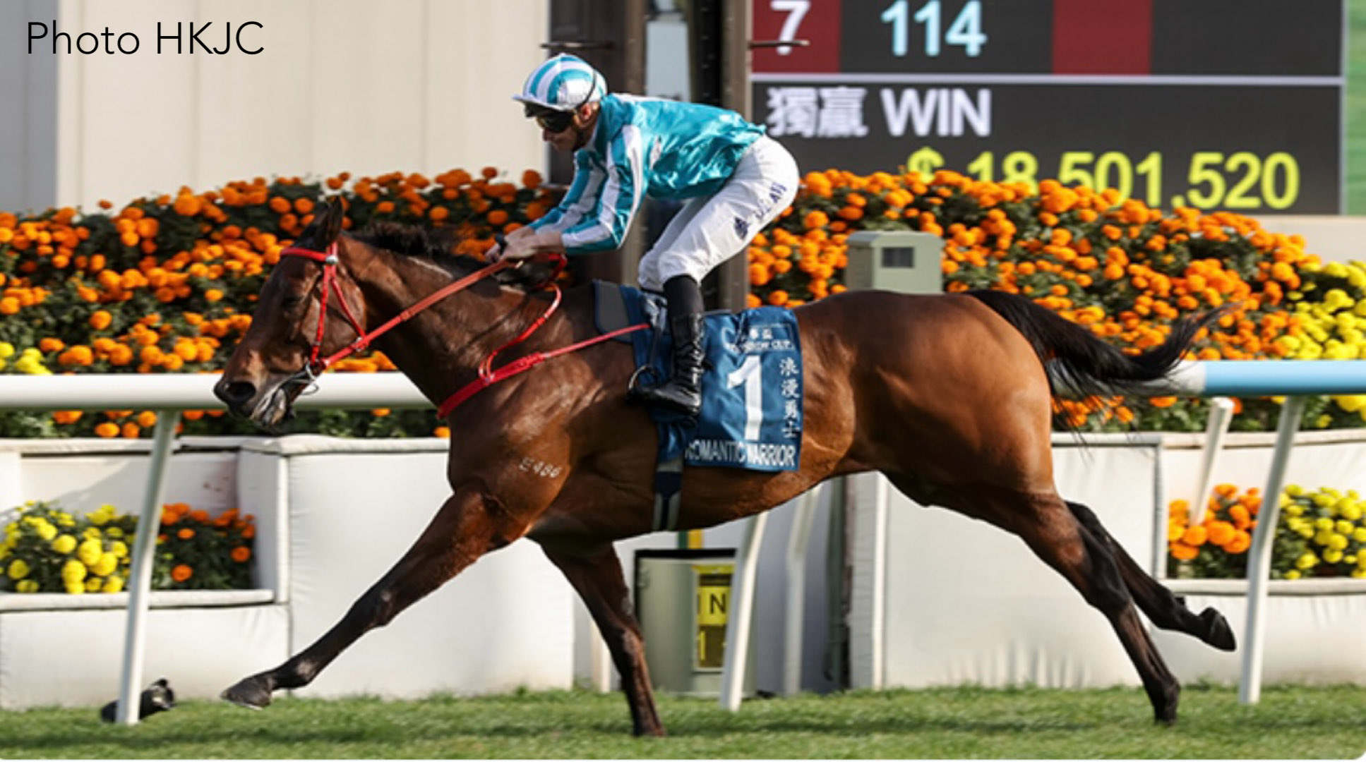 ROMANTIC WARRIOR confirmó su grandeza al imponerse en la Stewards’ Cup